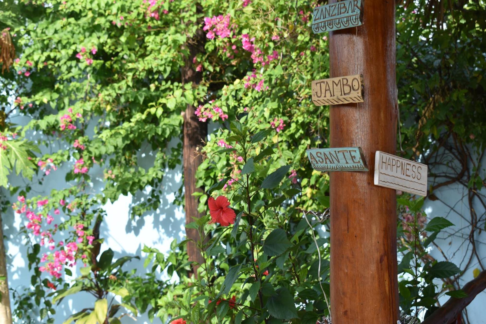 Pineapple House Bed & Breakfast Nungwi Bagian luar foto